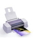 Cartouche imprimante Epson Stylus Photo 1290 PS | Frantoner